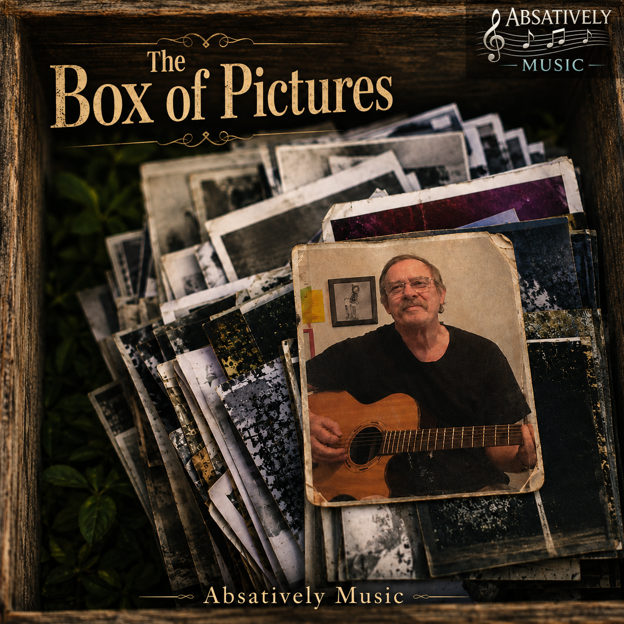 Box Full of Pictures cover art